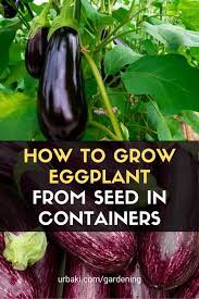 Pin On Gardening Planting Vegetables