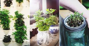 Maybe you would like to learn more about one of these? 46 Indoor Herb Garden Ideas That Will Inspire You To Start Planting