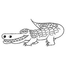 554x565 coloring pages alligator coloring pages color page 2 alligator. Top 25 Free Printable Alligator Coloring Pages Online