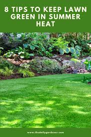 It's often difficult to monitor the amount of water that you've laid down during the course of a watering. 8 Tips To Keep Lawn Green In Summer Heat