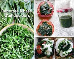 Recettes Ail Des Ours 600 X 480 En 2020 Ail Des Ours Recette Pesto Recette Ail Des Ours