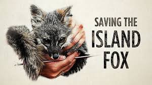 You will find high quality and interesting documentaries of all sorts. 26 Free Nature Animal Documentaries You Can Watch Online We Are Explorers