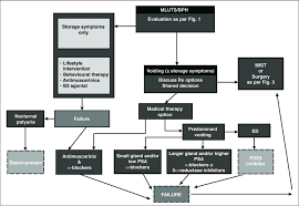 Patients treated with sbrt for localized prostate cancer from february … Male Lower Urinary Tract Symptoms Benign Prostatic Hyperplasia Download Scientific Diagram