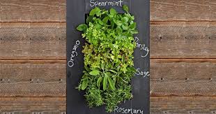 17 Vertical Garden Ideas That Will Blow Your Mind Garden Lovers Club Living Wall Planter Wall Planter Vertical Herb Garden