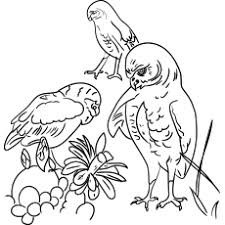 Paint and color your favorite coloring pages coloring pages and pictures with the resources of coloring pages for kids. Top 25 Free Printable Owl Coloring Pages Online