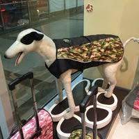 Pet express near quezon city metro manila. Pet Express Socorro Quezon City Quezon City