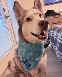 As we step into the new year, I can't help but reflect