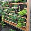Vertical herb garden in the edible garden at atlanta botanical garden. 1