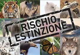 ESTINZIONE: ANIMALI IN PERICOLO - Exclusion