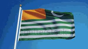Image result for kashmir flag pic