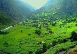 ساحات جالب ودیدنی از ولایت نورستان پارک ملی افغانستان. Ù†Ù…Ø§ÛŒÙ†Ø¯Ù‡ ÙˆÙ„Ø§ÛŒØª Ù†ÙˆØ±Ø³ØªØ§Ù† Ø¯Ø§Ø¹Ø´ Ø¨Ù‡ Ø¨Ø§Ø´Ù†Ø¯Ù‡ Ù‡Ø§ÛŒ Ù†ÙˆØ±Ø³ØªØ§Ù† Ù‡Ø´Ø¯Ø§Ø±Ø¯Ø§Ø¯Ù‡ ØªØ§Ø®Ø§Ù†Ù‡ Ù‡Ø§ÛŒ Ø´Ø§Ù† Ø±Ø§ ØªØ±Ú© Ú©Ù†Ù†Ø¯ Ø¢Ú˜Ø§Ù†Ø³ Ø®Ø¨Ø±ÛŒ Ø¨Ø§Ø®ØªØ±