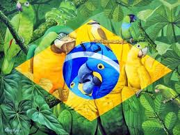 Resultado de imagem para BANDEIRA BRASIL E FLORESTA