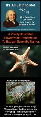 A Powerpoint Presentation To Introduce The Reasons Why Scientists Use Latin And Greek For Scientific Nam Teaching Biology Science Education Biology Classroom