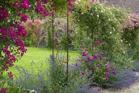 Le Jardin De Marie Jardin En Mars Jardins Plante