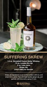 Refreshing Whiskey Cocktail Recipe Alcohol Drink Recipes Whiskey Recipes Cocktail Recipes Whiskey