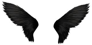 Black And White Angel Wings Png Black Wings Png Image Wings Png Angel Wings Png Black Angel Wings
