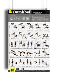 dumbbell exercises workout poster now laminated home gym