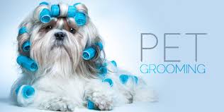 Kelly's mobile pet spa is a mobile dog and cat grooming service for the johnson county, kansas area and surrounding communities including shawnee, lenexa, overland park and olathe. Let Somebody Else Groom Your Cat Or Dog Cobone Offers