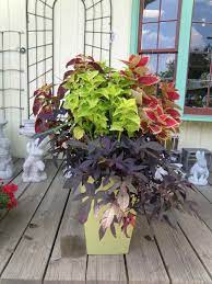 Check spelling or type a new query. Farmer S Daughter Gift Garden Center 351 W Railroad Ave Shrewsbury Pa 17361 Usa