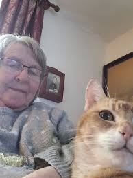 Good Night junayed 120 GoodNight Good Night