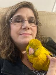 Museum Officers and Trustees