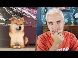 squeezie youtube en 2021 youtubeur francais chien