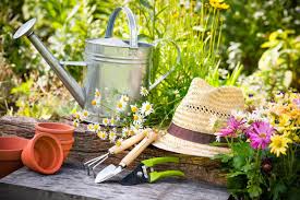Wir haben zwei gestaltungsideen für den kleinen garten, inklusive der pflanzpläne zum herunterladen. Alles Neu Macht Der Mai Frische Gartengestaltungsideen Fur Den Fruhling Heimhelden