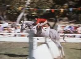 Weekend Movie to Watch: The Horse in the Gray Flannel Suit | HORSE NATION