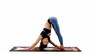 Downward Facing Dog Adho Mukha Svanasana Amazing Ab Workouts Yoga With Adriene Yoga Flow