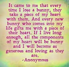  Rabbit Rainbow Bridge Bunny Quotes Losing A Pet Quotes