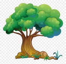 Pin On Tree