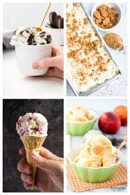 Why not make your own? 40 Best Ice Cream Recipes Mildly Meandering