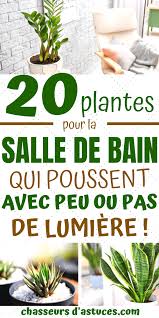 We did not find results for: 20 Plantes Parfaites Pour Salle De Bain Qui Poussent Avec Peu Pas De Lumiere