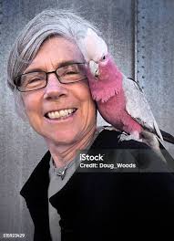 Woman Buying Parrot In Pet Store Stock Photo