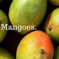 Image result for Mangifera
