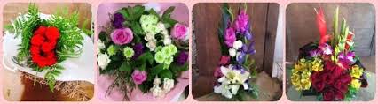 Ivy geranium 1 head (double or single) 3 stems 14017. The 5 Best Options For Flower Delivery In Mackay 2021