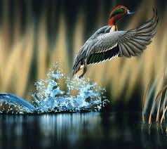 Popsilla.com has been visited by 1m+ users in the past month 48 Free Zedge Wallpapers For Pc On Wallpapersafari