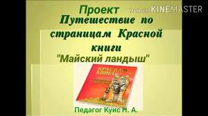 проект красная книга россии 4 класс окружающий мир с картинками Distancionnoe Obuchenie Gbou Shkola Pokrovskij Kvartal Moskva