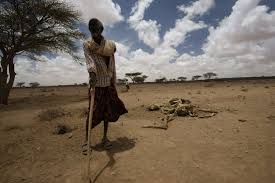 I've watched the trailer several times and i still don't really get it. Drought Crisis In East Africa When The Animals Die People Do Too