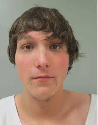 Waterloo man pleads guilty to I-380 robbery