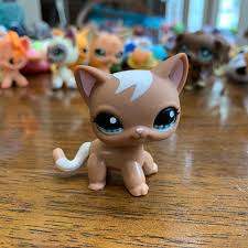 Lps Rare Short Hair Brown Cat Great Condition Message Me With Any Questions Open To Offers Lps Toys Little Pets Lps Cats