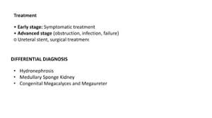 Management Of Neonatal Hydronephrosis Diagnosed In Antenatal Period - Ppt  Download