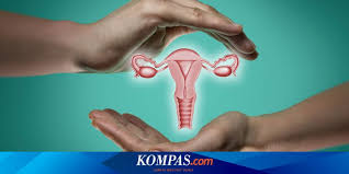 Kanker Serviks Penyebab Kematian Nomor 2 Wanita Indonesia Kenapa Halaman All Kompas Com