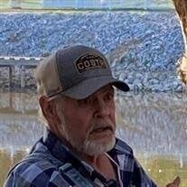 Mr. Mike Bice Obituary