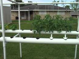 The ultimate solution (liquid hydroponic. My Pvc Pipe Hydroponic Garden Explained Youtube