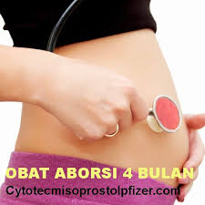 Pin On Cara Menggugurkan Kandungan 4 Bulan