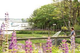 Visit your local independent garden center. Garden Centers And Nurseries A List The Maine Magazine