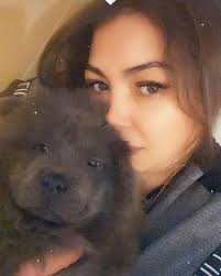 Chow Chow Breeder (@chow_pows) · Amman