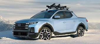 Image result for Blue Stone 2025 Santa Cruz