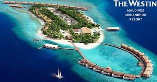 Job Openings At The Westin Maldives Miriandhoo Resort Job Opening Overseas Jobs Maldives